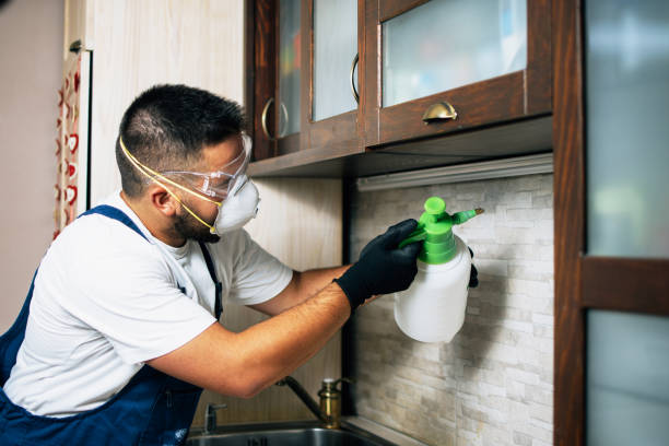 Best Mosquito Control Services  in Allen Park, MI