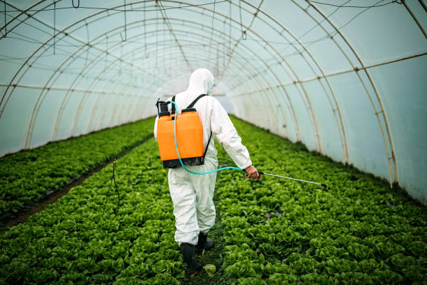 Best Pest Control Cost  in Allen Park, MI