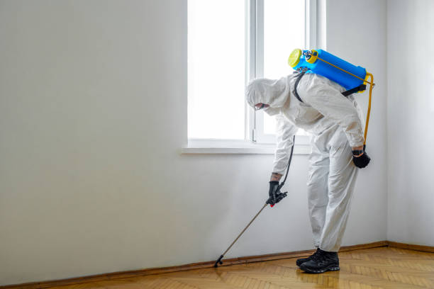 Pest Control Cost in Allen Park, MI